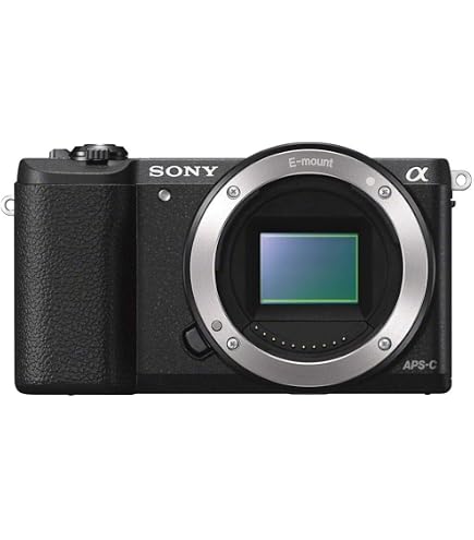 Amazon.com : Sony a5100 Mirrorless Digital Camera with 3-Inch Flip